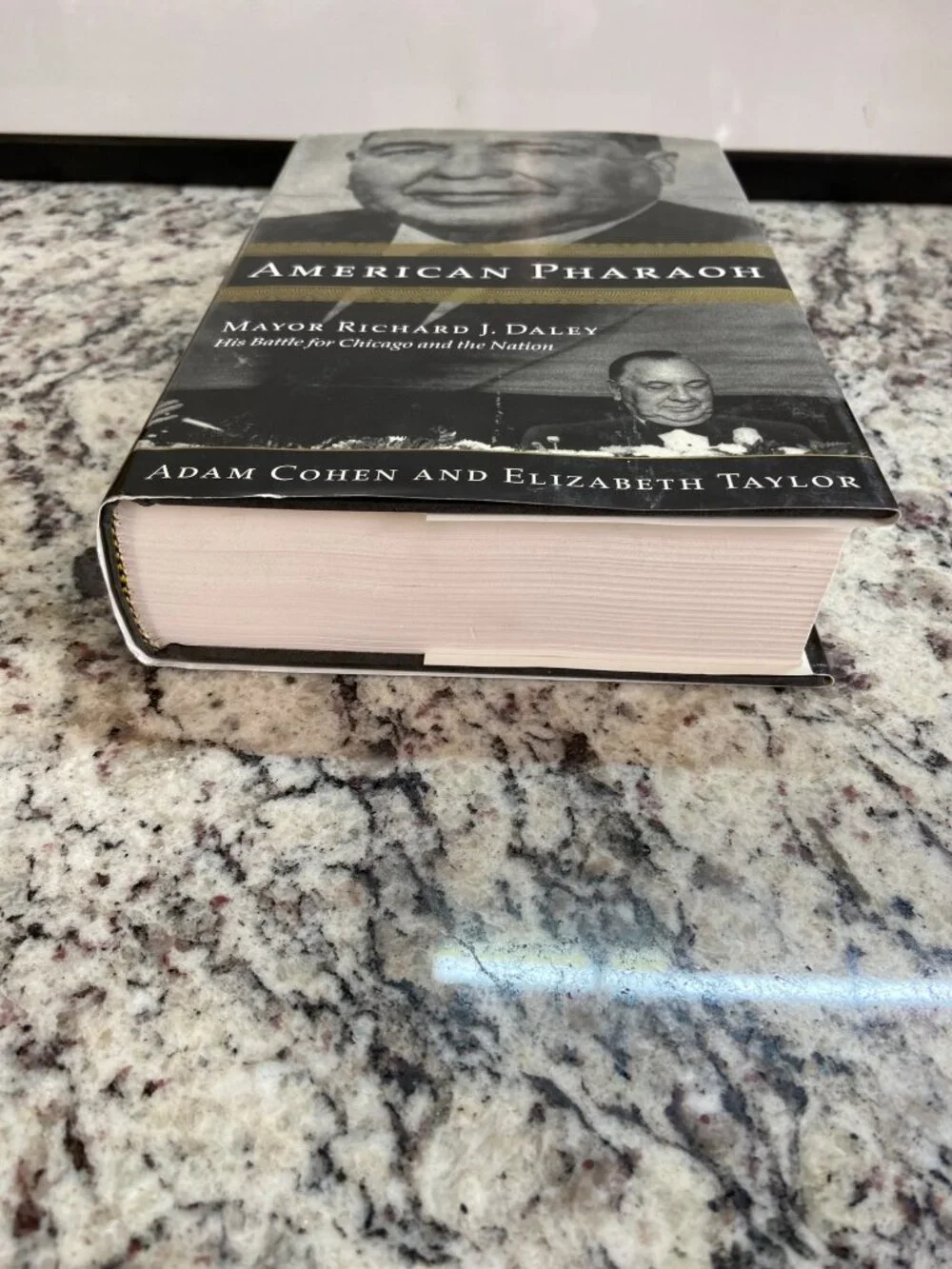 American Pharaoh Richard J Daley Chicago 2000 1st Edition HC DJ Cohen Taylor